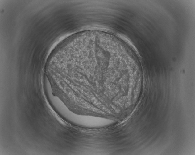 X0000084031040200703161800