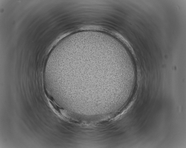 X0000084031041200703161800