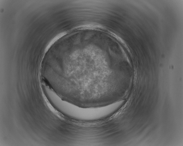 X0000084031042200703161800