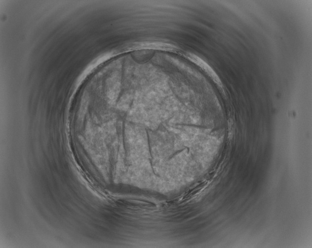 X0000084031043200703161800