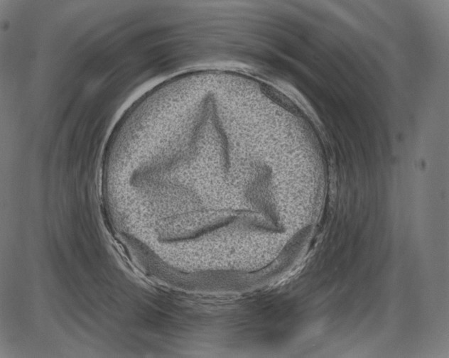 X0000084031044200703161800