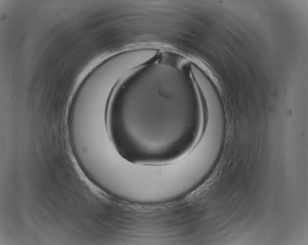 X0000084031046200703161800