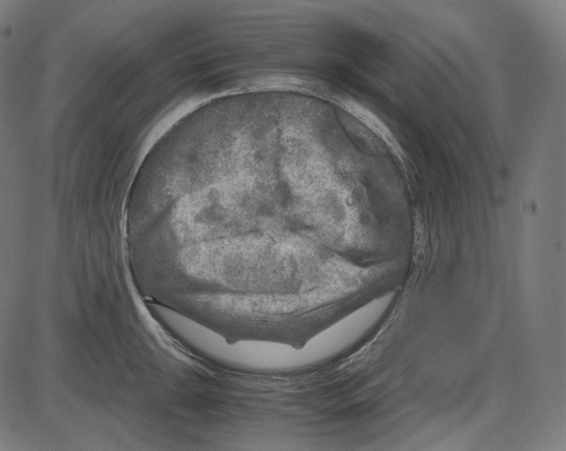 X0000084031047200703161800