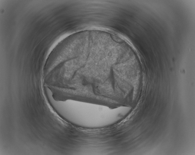 X0000084031048200703161800