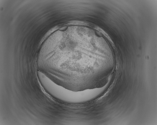 X0000084031049200703161800