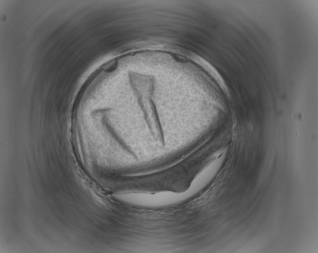 X0000084031051200703161801