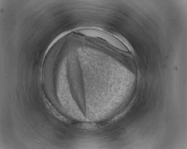 X0000084031052200703161801