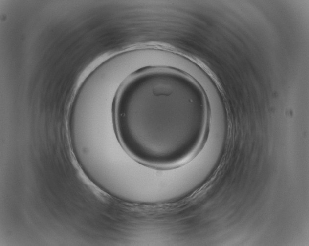 X0000084031054200703161801