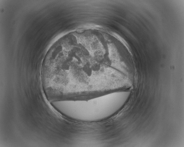 X0000084031055200703161801