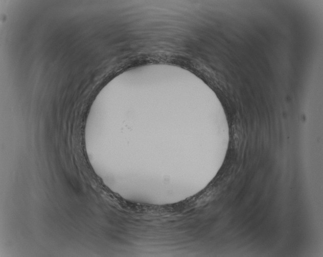 X0000084031057200703161800