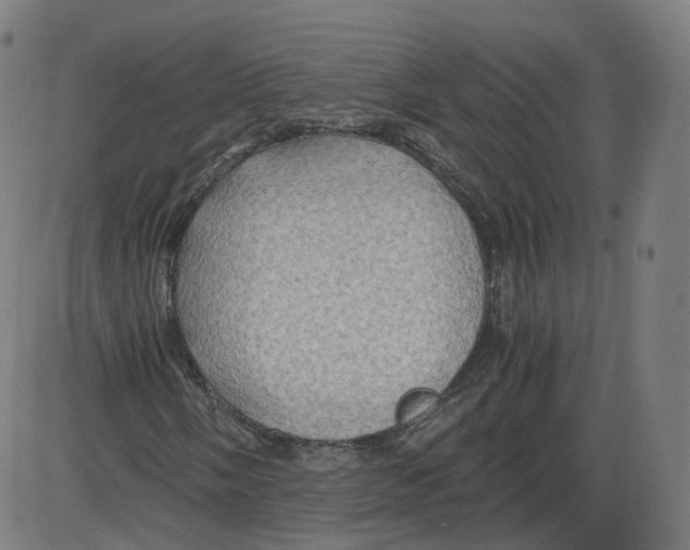 X0000084031058200703161800