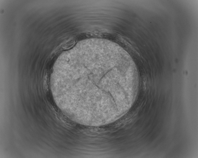 X0000084031060200703161800