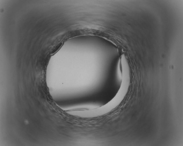 X0000084031061200703161800