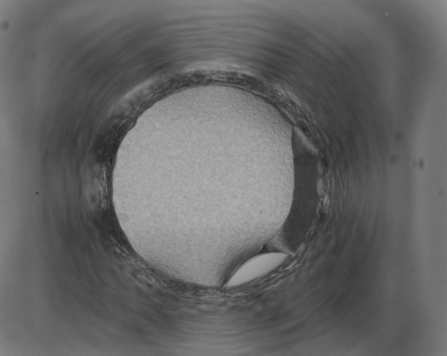 X0000084031062200703161800