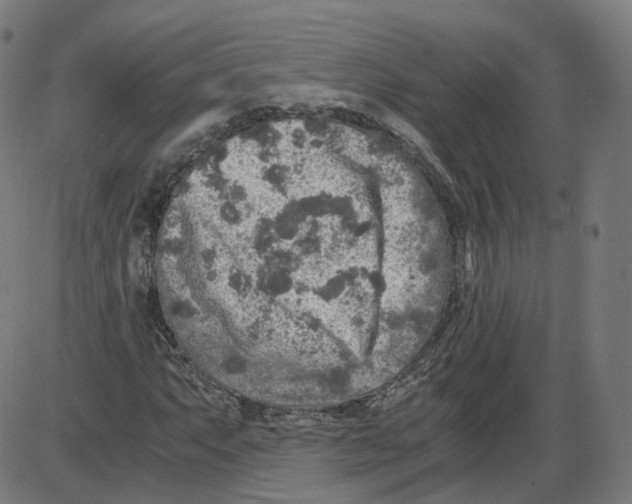 X0000084031063200703161800