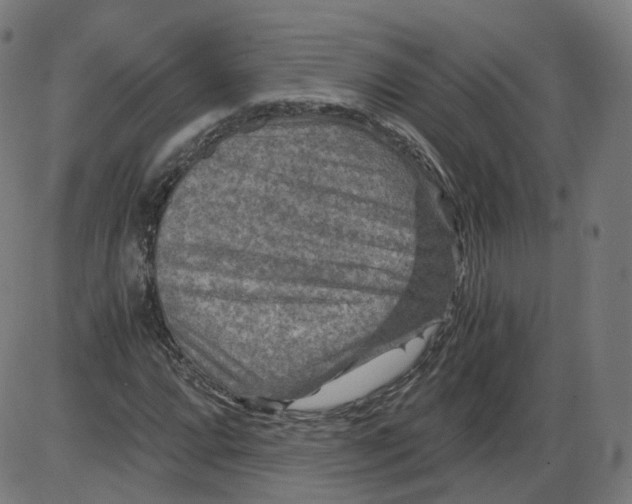 X0000084031064200703161800