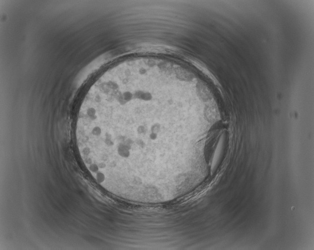 X0000084031067200703161800