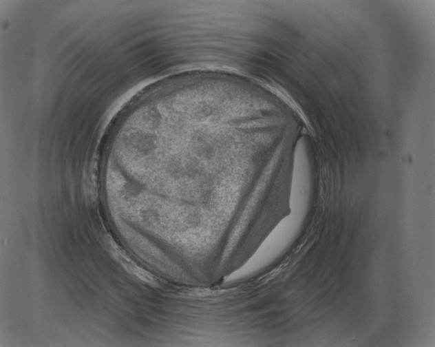 X0000084031068200703161800