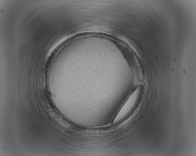 X0000084031069200703161800