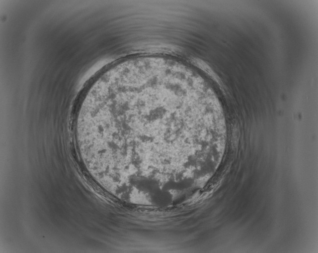 X0000084031071200703161800