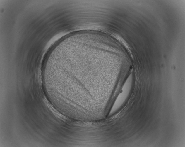 X0000084031072200703161800