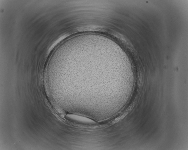 X0000084031073200703161759