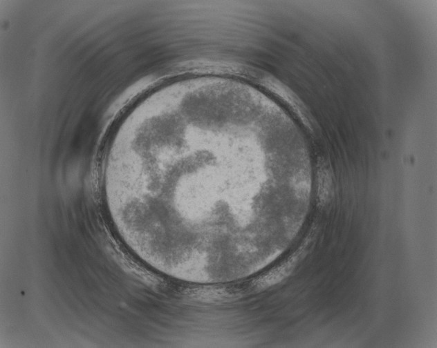 X0000084031074200703161759