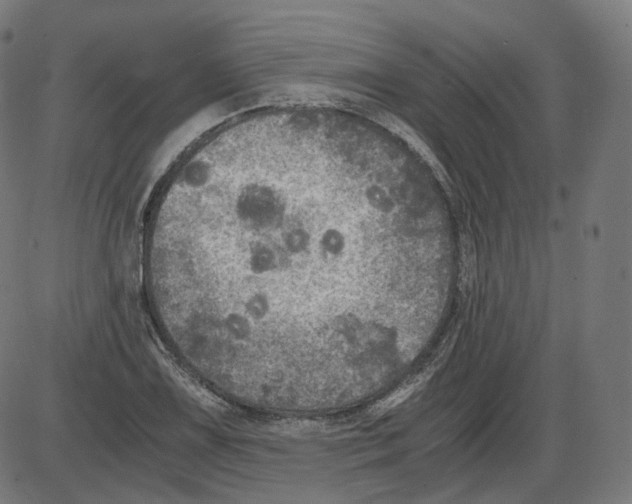 X0000084031075200703161759