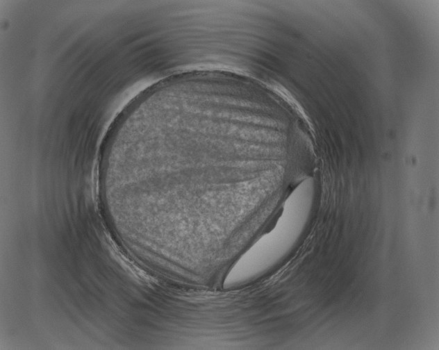 X0000084031076200703161759