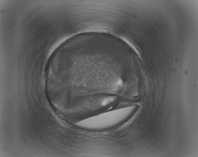 X0000084031077200703161759