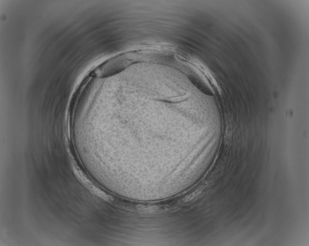 X0000084031080200703161759