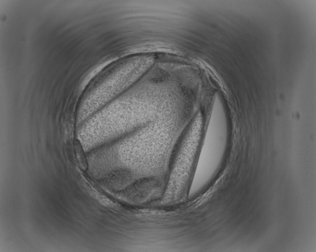 X0000084031081200703161759