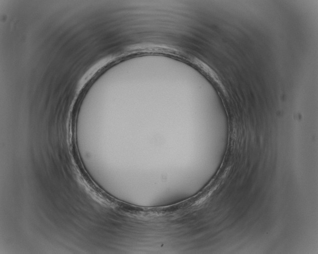 X0000084031082200703161759