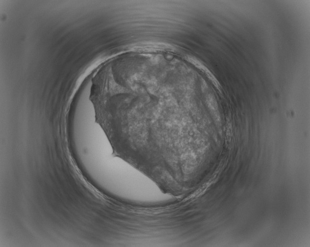 X0000084031083200703161759