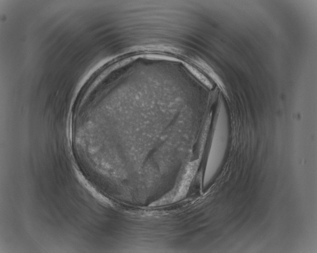 X0000084031084200703161759