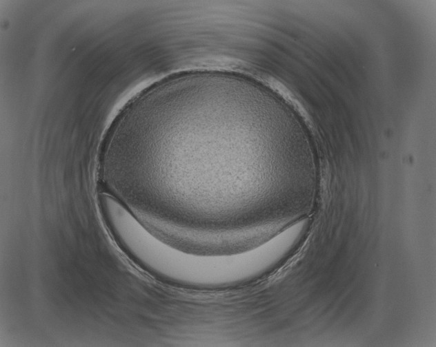 X0000084031085200703161759