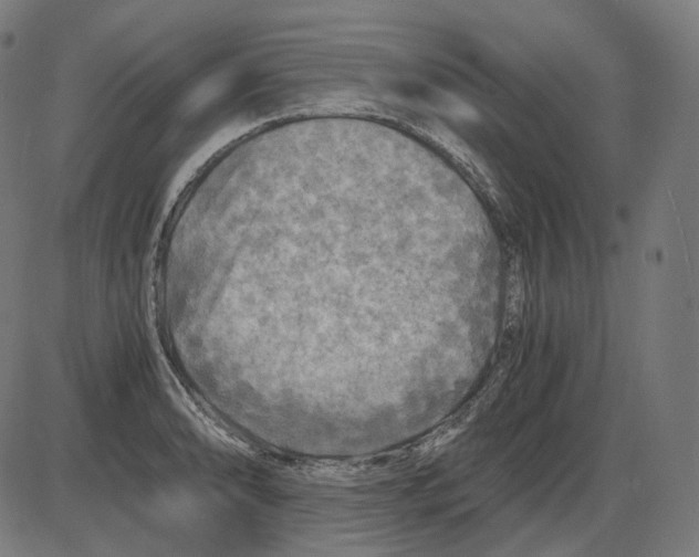 X0000084031086200703161759