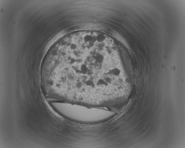 X0000084031087200703161759