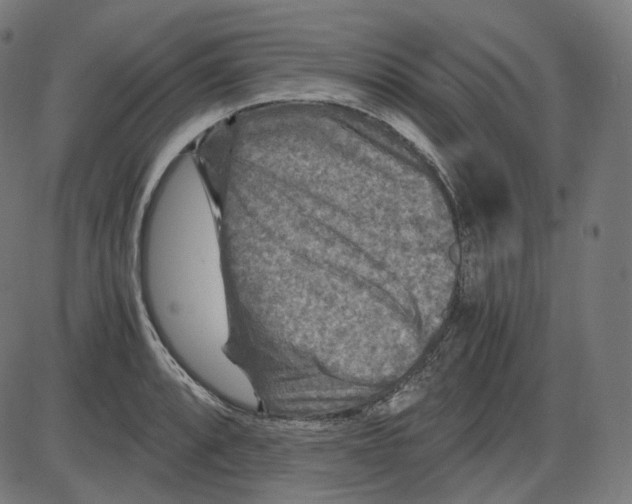 X0000084031088200703161759