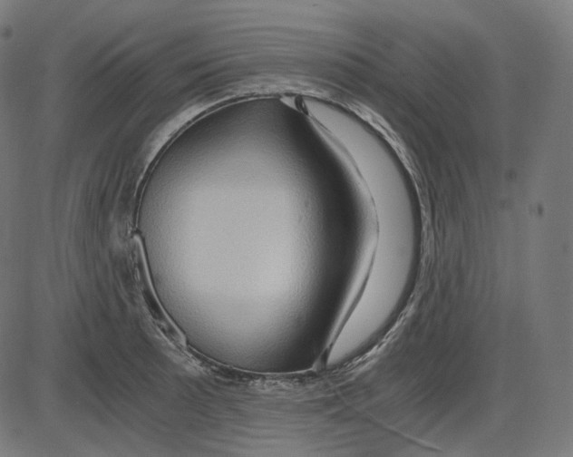 X0000084031089200703161759