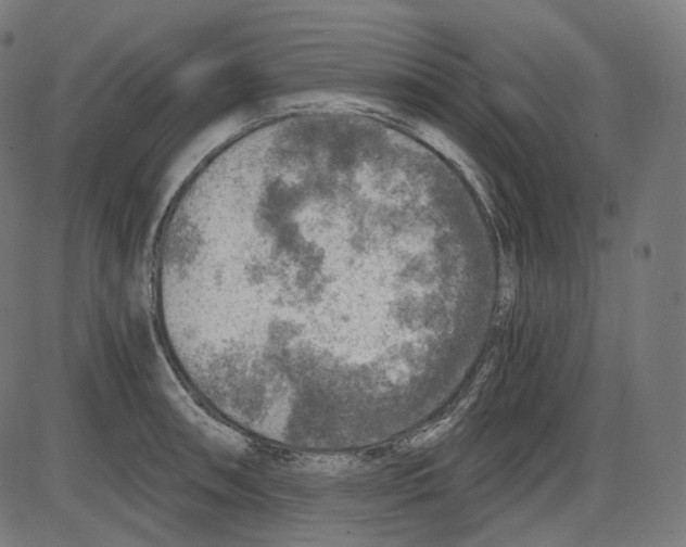 X0000084031090200703161759