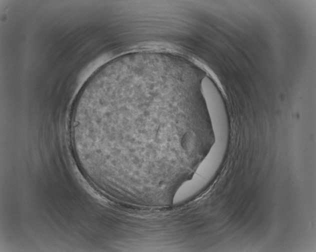 X0000084031091200703161759