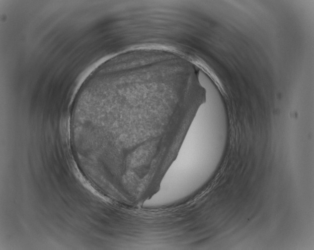 X0000084031092200703161759