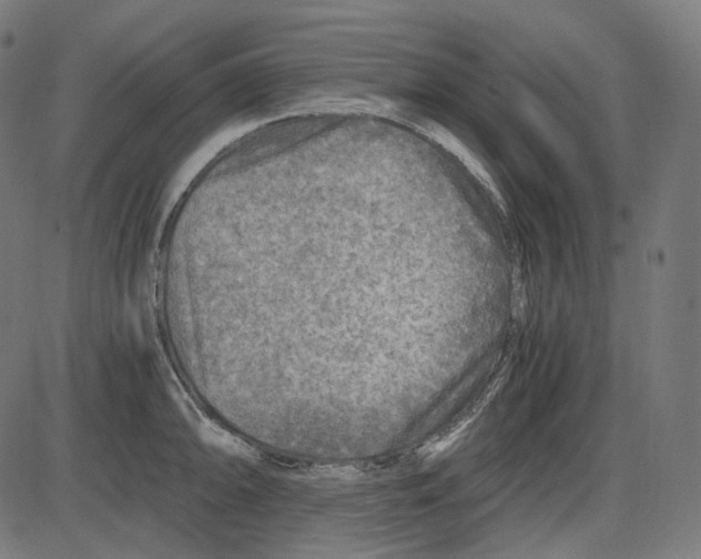 X0000084031094200703161759