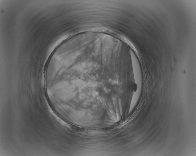 X0000084031095200703161759