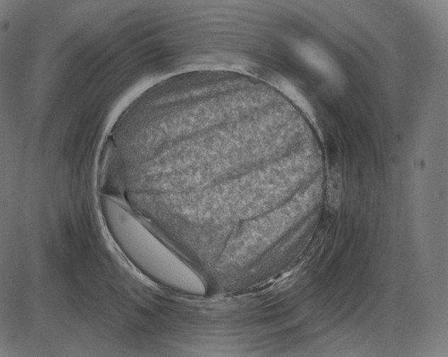 X0000084031096200703161759