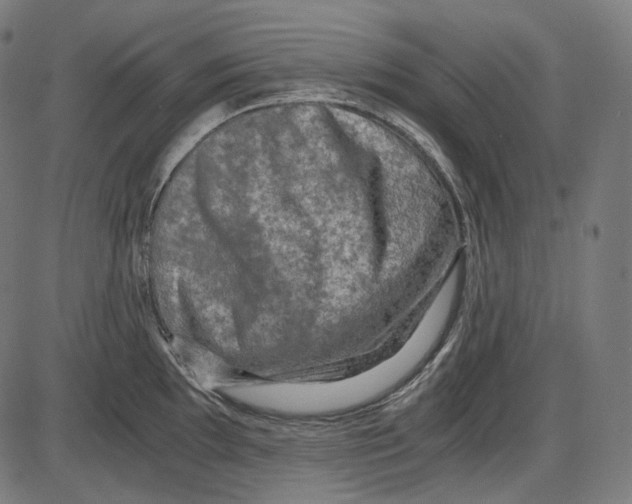 X0000084031097200703161759