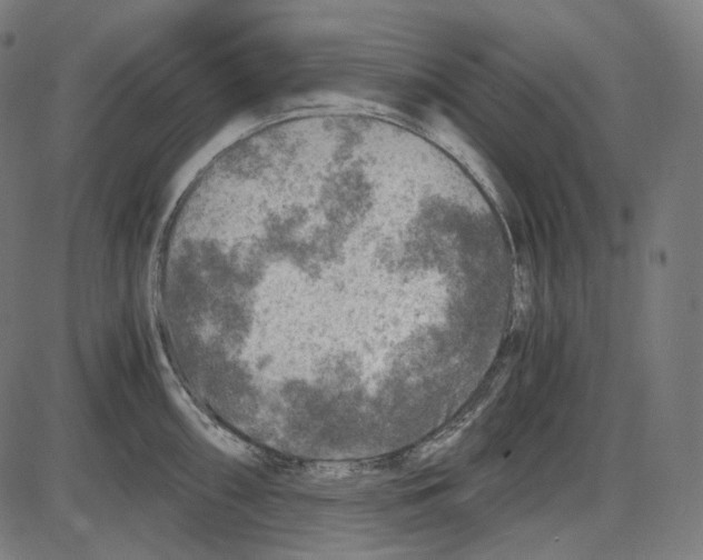 X0000084031098200703161759