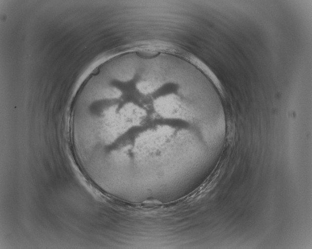 X0000084031099200703161759