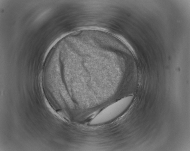 X0000084031100200703161759